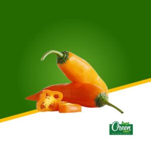 PRUEBA DE PRODUCTO 1