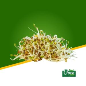 BROTES DE ALFALFA (150 GRS) BANDEJA