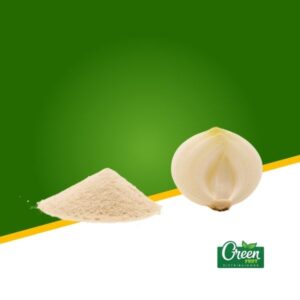 CEBOLLA EN POLVO (KG)