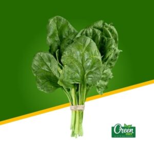 ESPINACA GRANEL (KG)