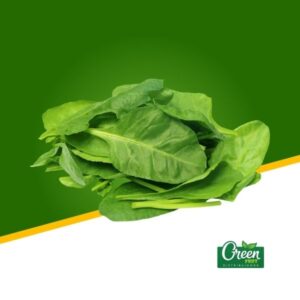 ESPINACA HOJA (KG)