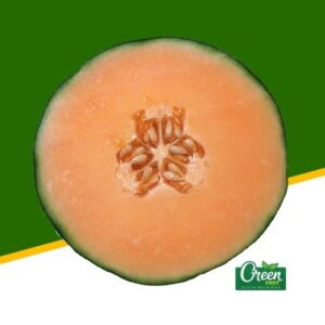 MELÓN (UN)