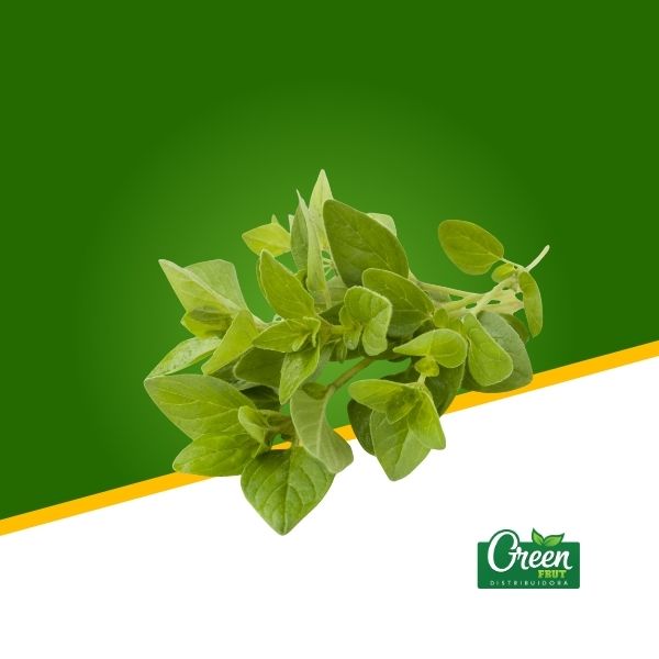 ORÉGANO FRESCO (KG)