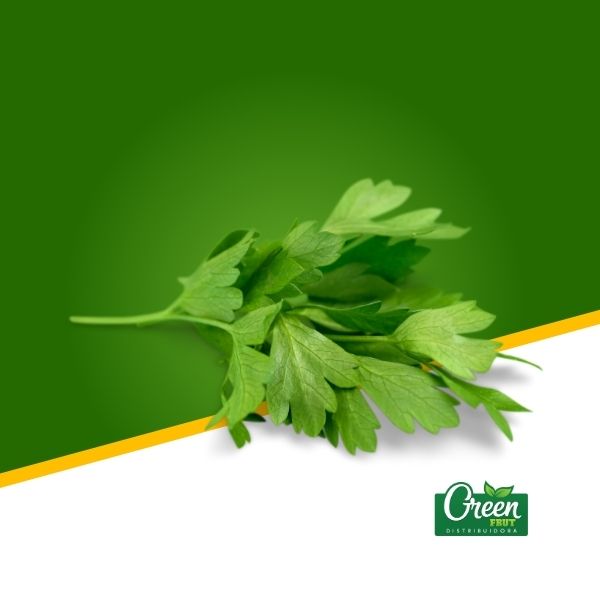 PEREJIL (KG)