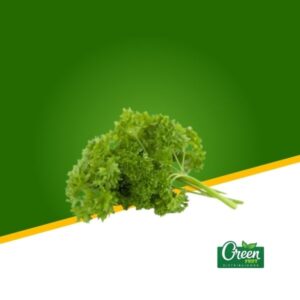 PERIFOLLO O PEREJIL CRESPO (KG)
