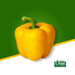 PIMENTÓN AMARILLO (UN)