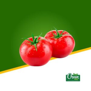 TOMATE LARGA VIDA (KG)