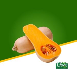 ZAPALLO BUTTERNUT (UN)